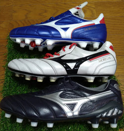 Image of Mizuno Morelia