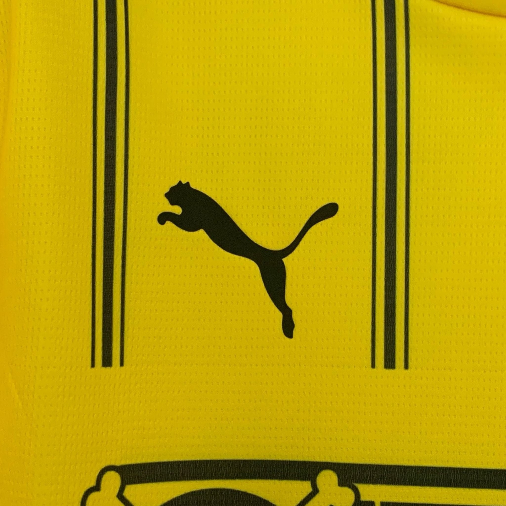 Image of Borussia Dortmund x One Piece Premium Kit