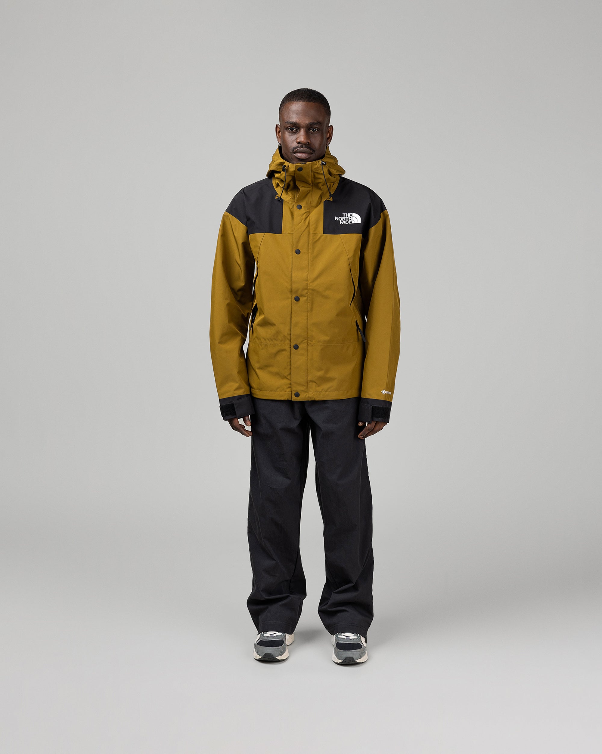 Image of The North Face GORE-Tex Mountain Jacket