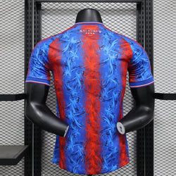 Image of 24/25 Player Crystal Palace Home