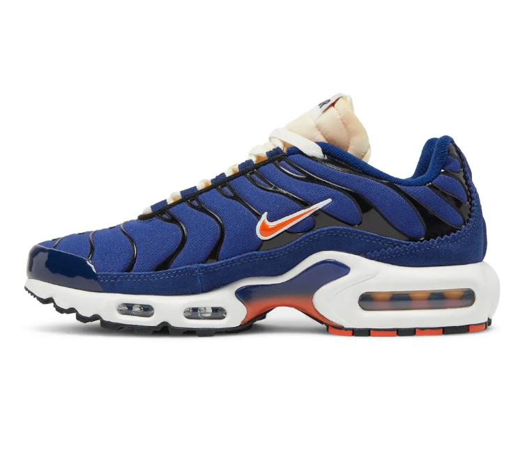 Image of Men's Nike Air Max Plus SE TN (Running Club)