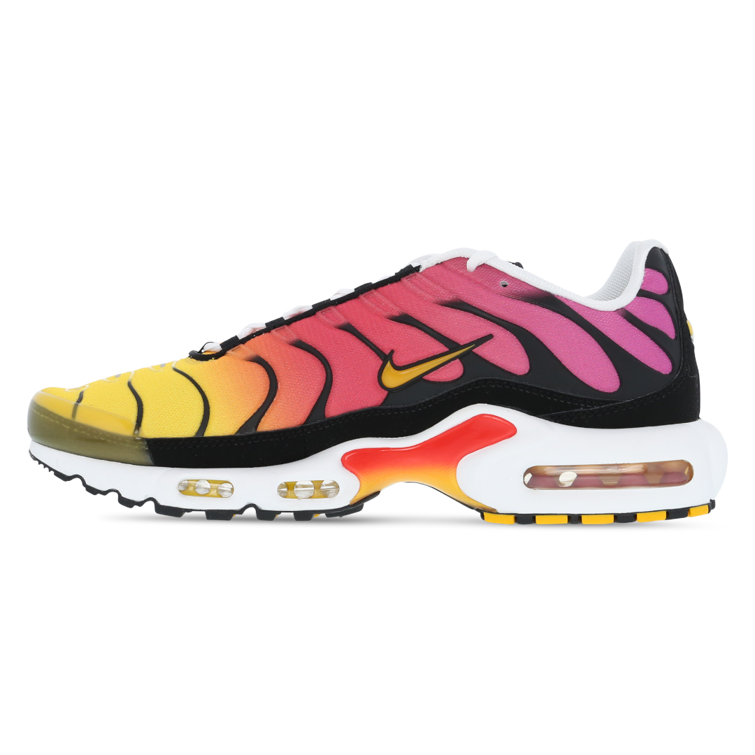 Image of Mens Nike Air Max Plus TN Rainbow Retro