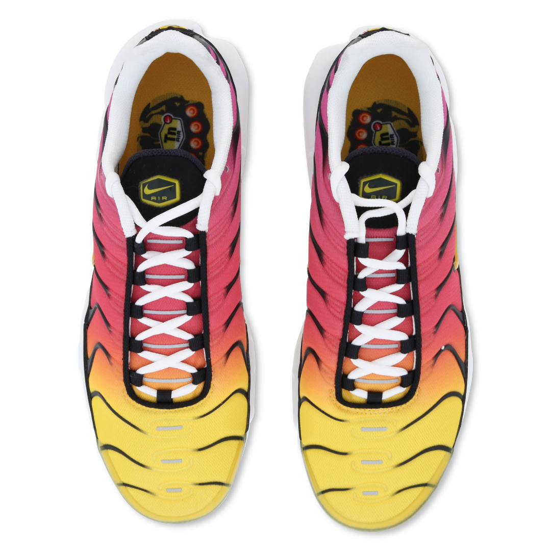 Image of Mens Nike Air Max Plus TN Rainbow Retro