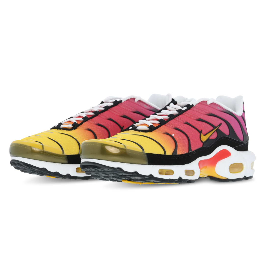 Image of Mens Nike Air Max Plus TN Rainbow Retro