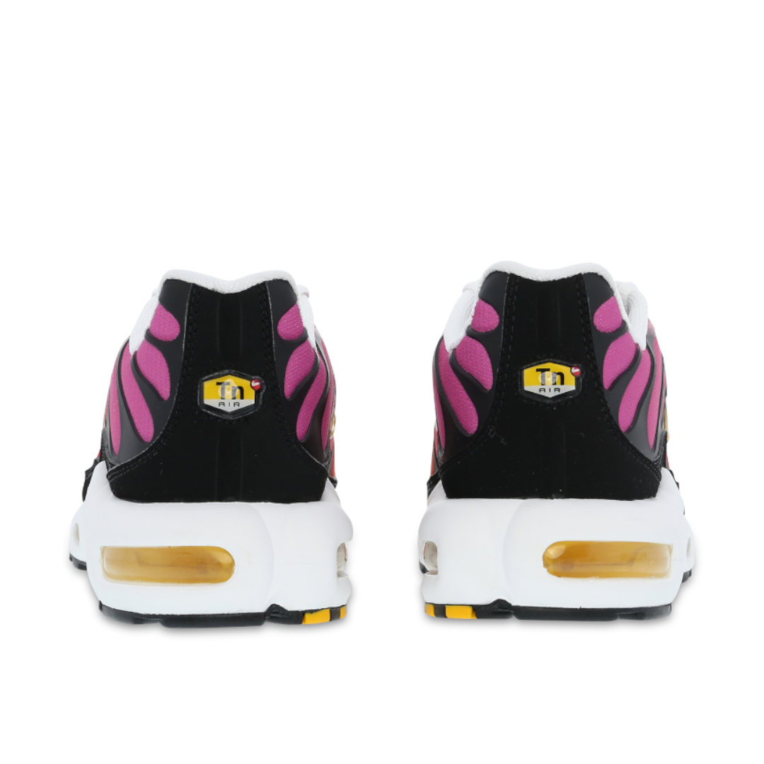 Image of Mens Nike Air Max Plus TN Rainbow Retro