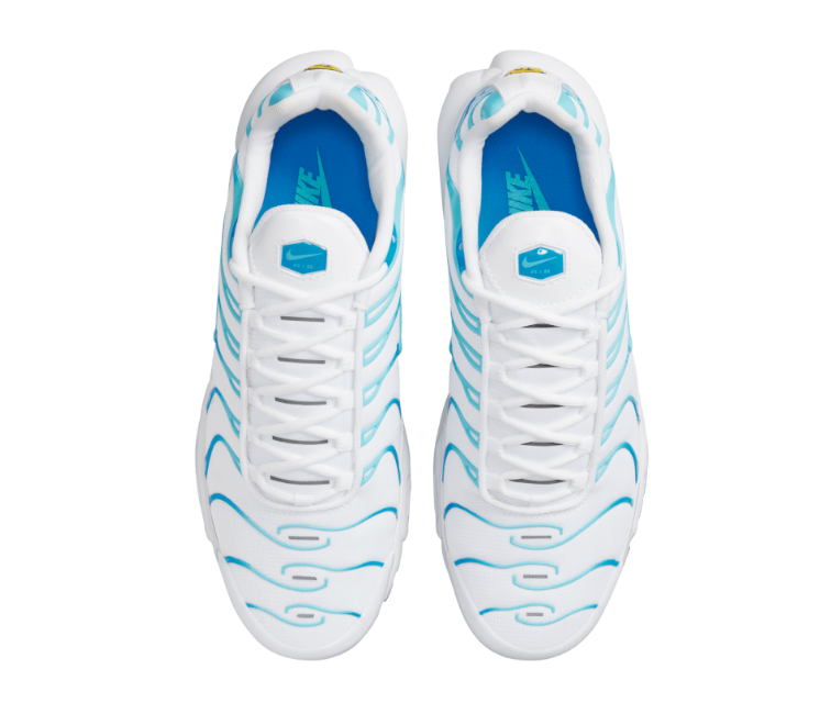 Image of Men's Nike Air Max Plus TN (Dreams)