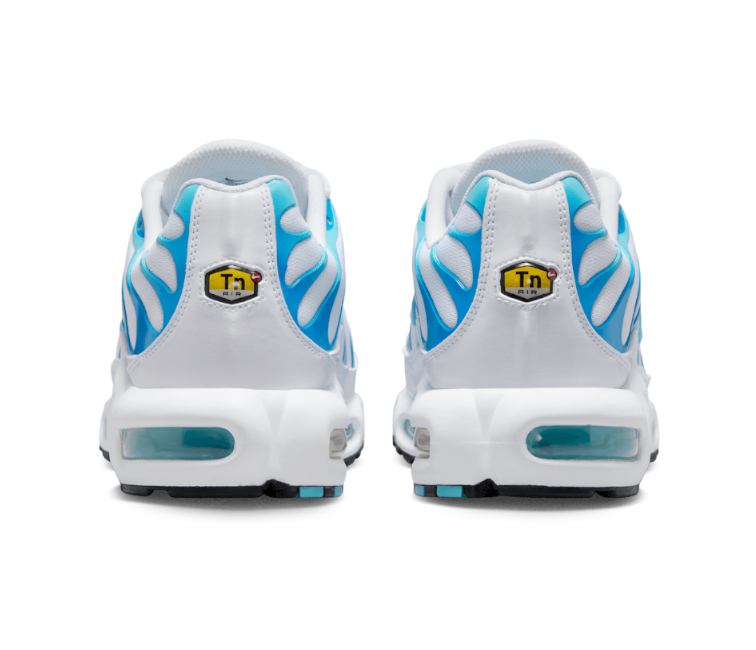 Image of Men's Nike Air Max Plus TN (Dreams)