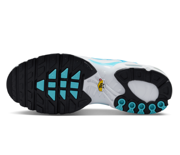 Image of Men's Nike Air Max Plus TN (Dreams)