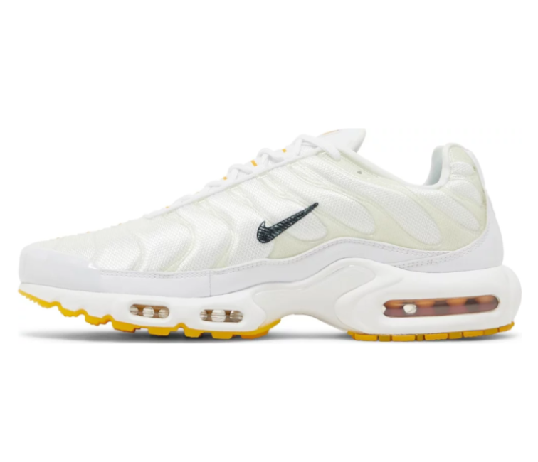 Image of Men’s Nike Air Max Plus TN (Frank Rudy)