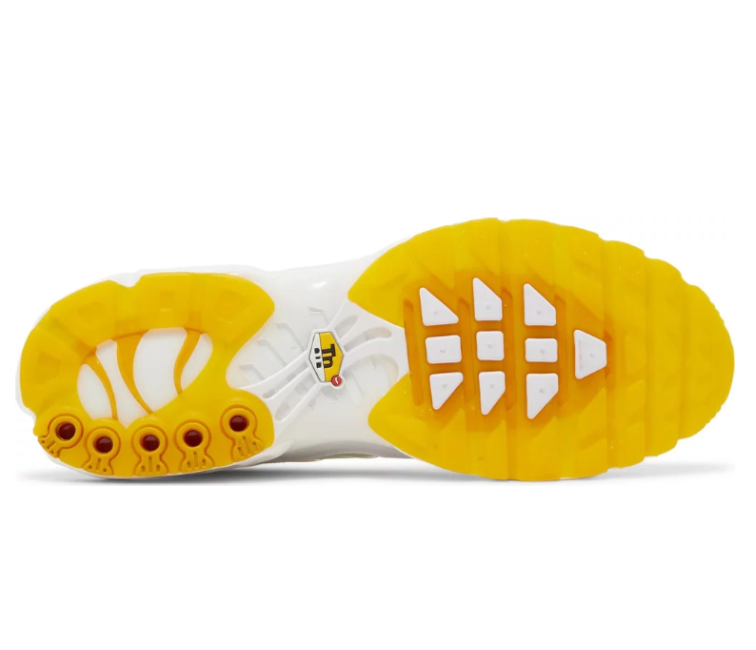 Image of Men’s Nike Air Max Plus TN (Frank Rudy)