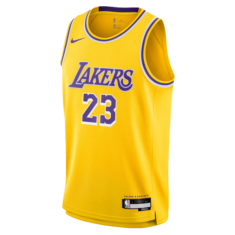 Image of Lebron James Los Angeles Lakers 2025 Icon Edition Youth NBA Swingman Jersey