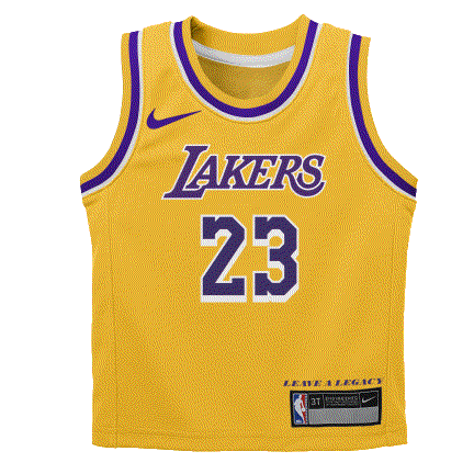 LeBron James Los Angeles Lakers 2024 Icon Edition Infant NBA Jersey
