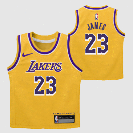 Image of LeBron James Los Angeles Lakers 2024 Icon Edition Infant NBA Jersey
