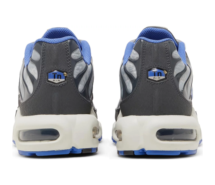 Image of Men's Nike Air Max Plus TN (World Cup)