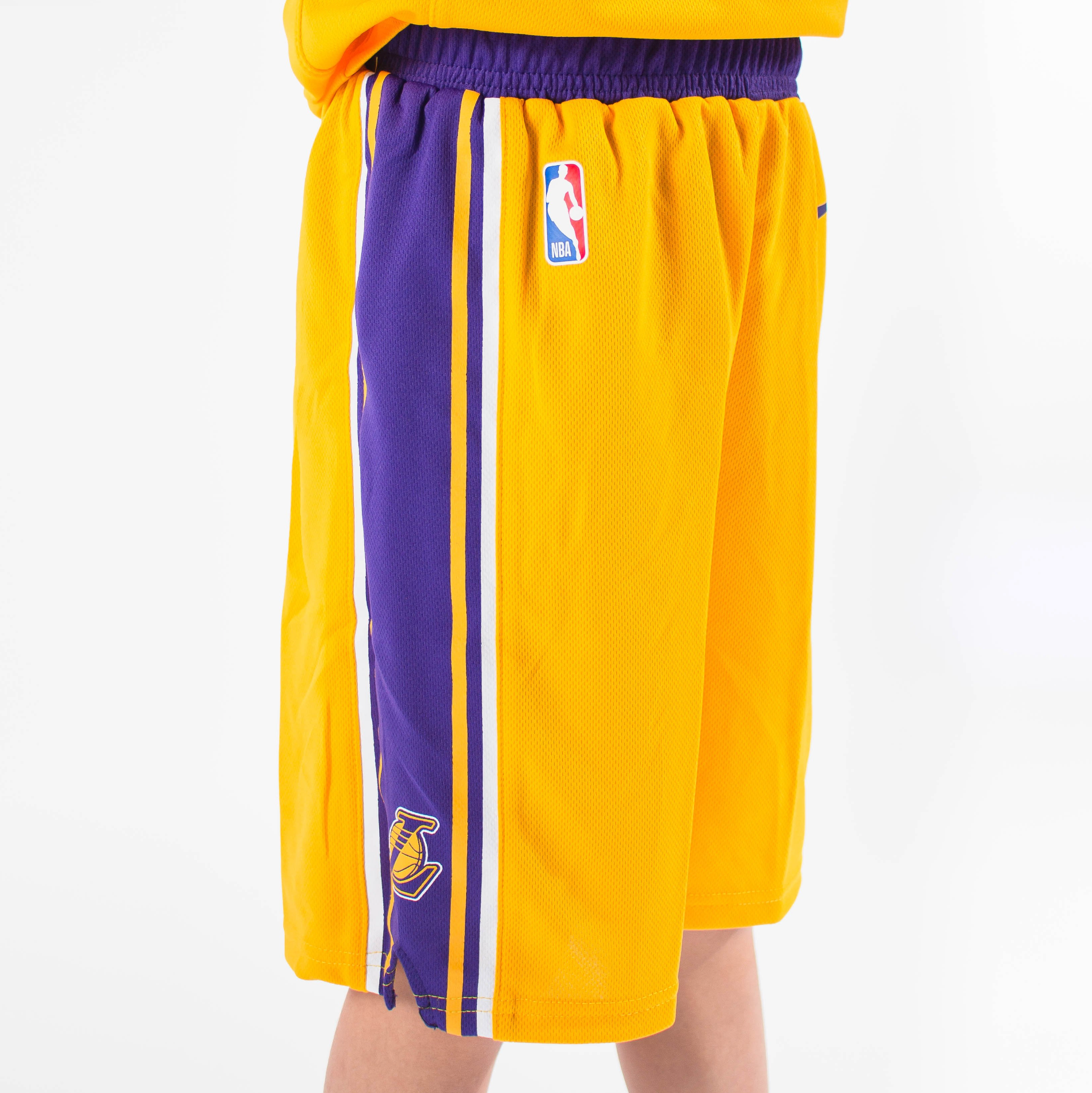 Image of LeBron James #23 Los Angeles Lakers 2024 Boys NBA Shorts
