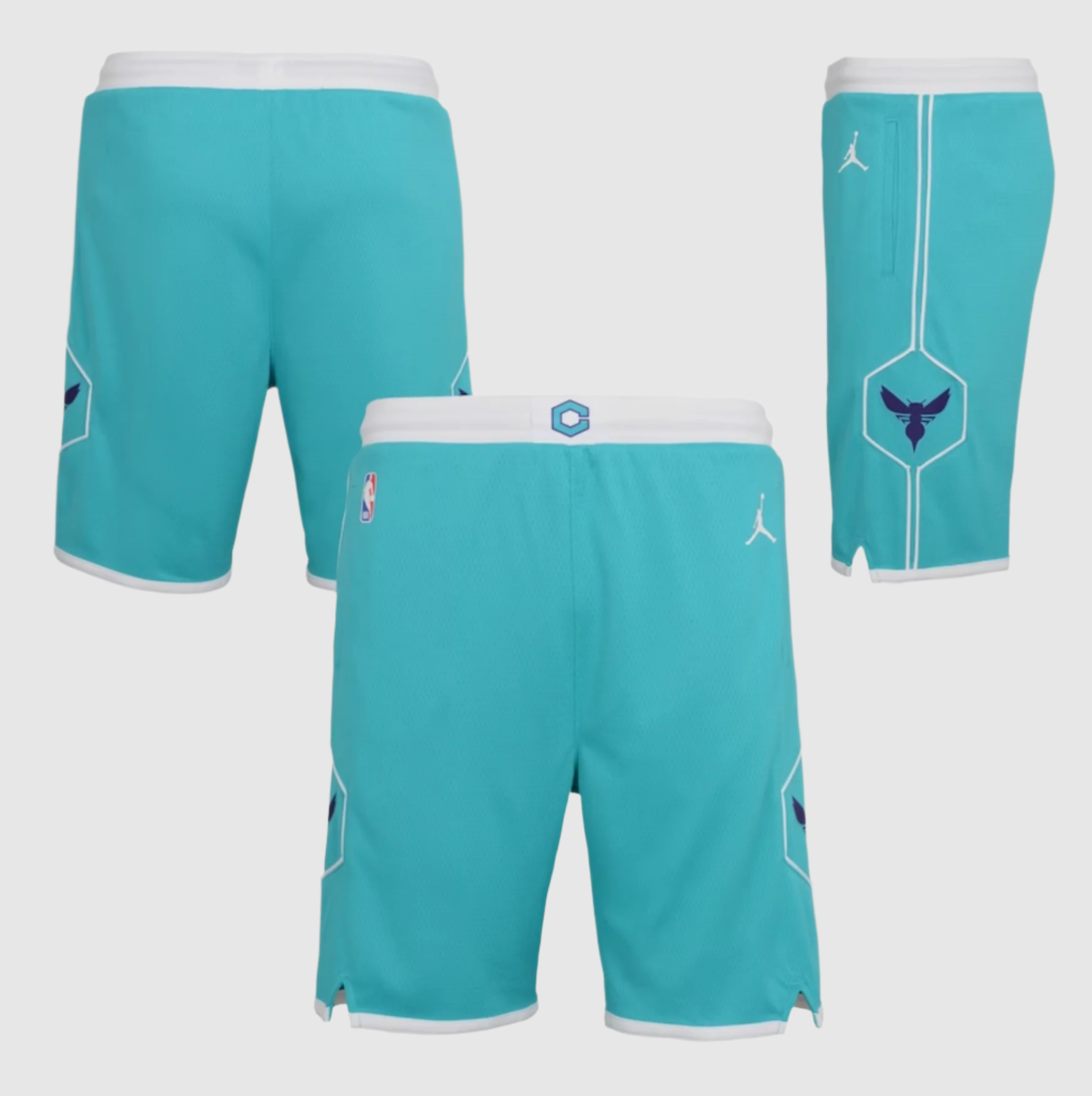 Image of Charlotte Hornets 2025 Icon Edition Swingman Youth NBA Shorts