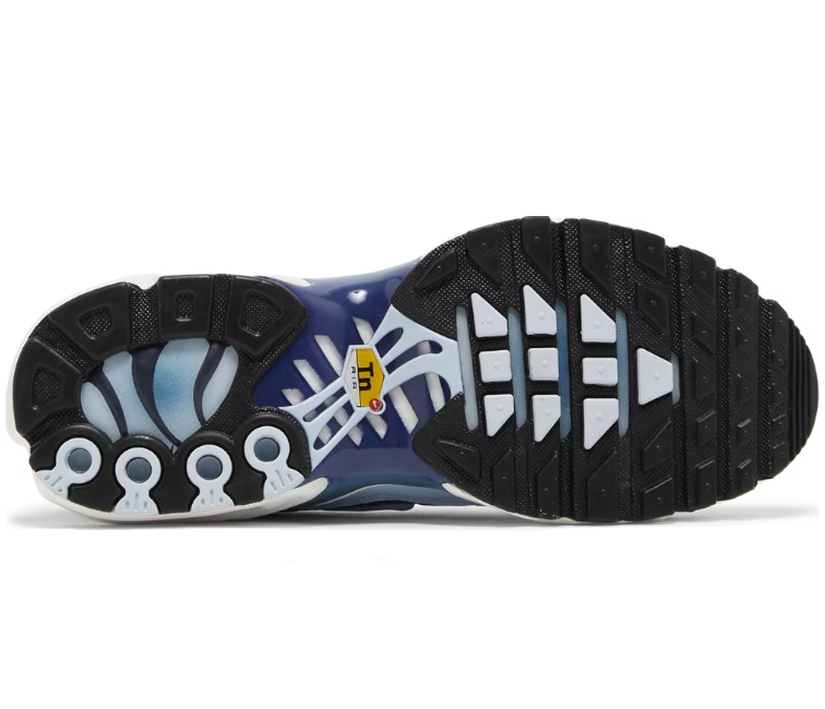 Image of Women’s Nike Air Max Plus TN (Celestine Blue)