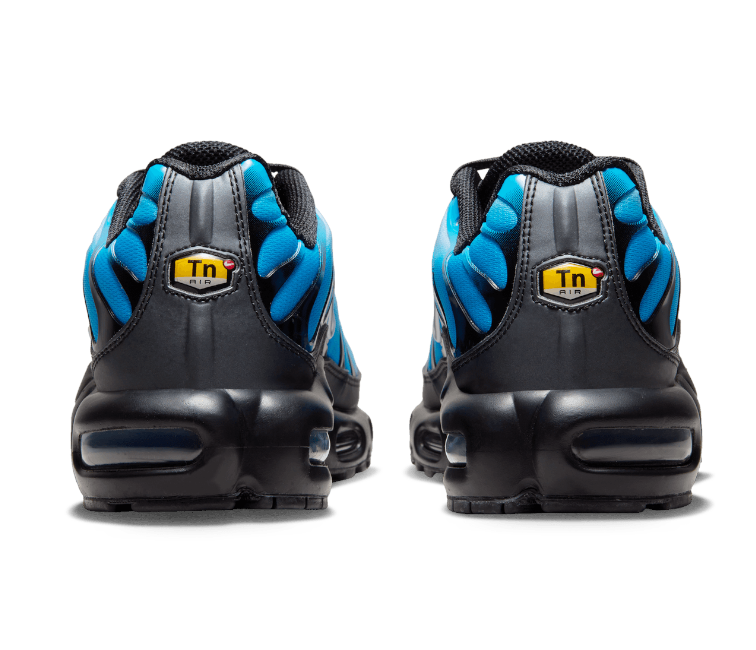 Image of Men's Nike Air Max Plus TN (Neptune)