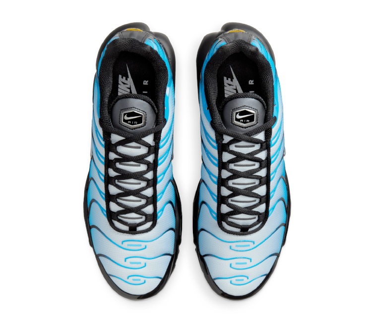 Image of Men's Nike Air Max Plus TN (Neptune)