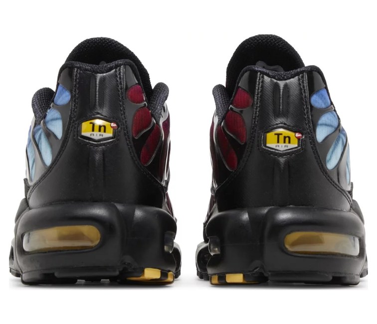 Image of Men's Nike Air Max Plus TN (25th Anniversary)