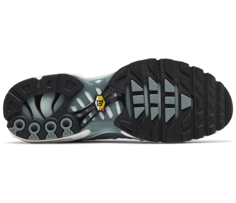 Image of Men’s Nike Air Max Plus TN (Waterway)