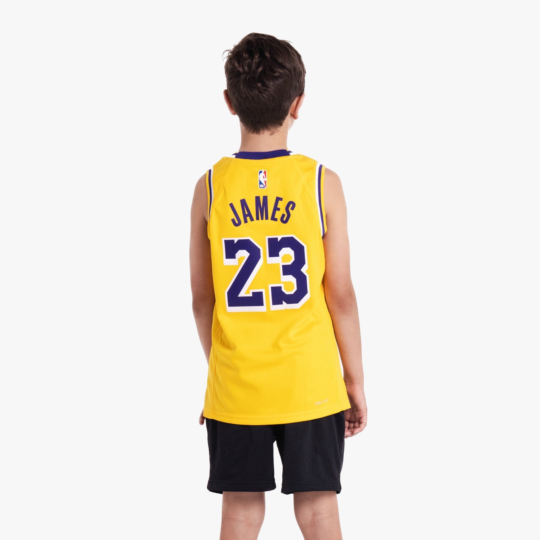 Image of Lebron James Los Angeles Lakers 2025 Icon Edition Youth NBA Swingman Jersey