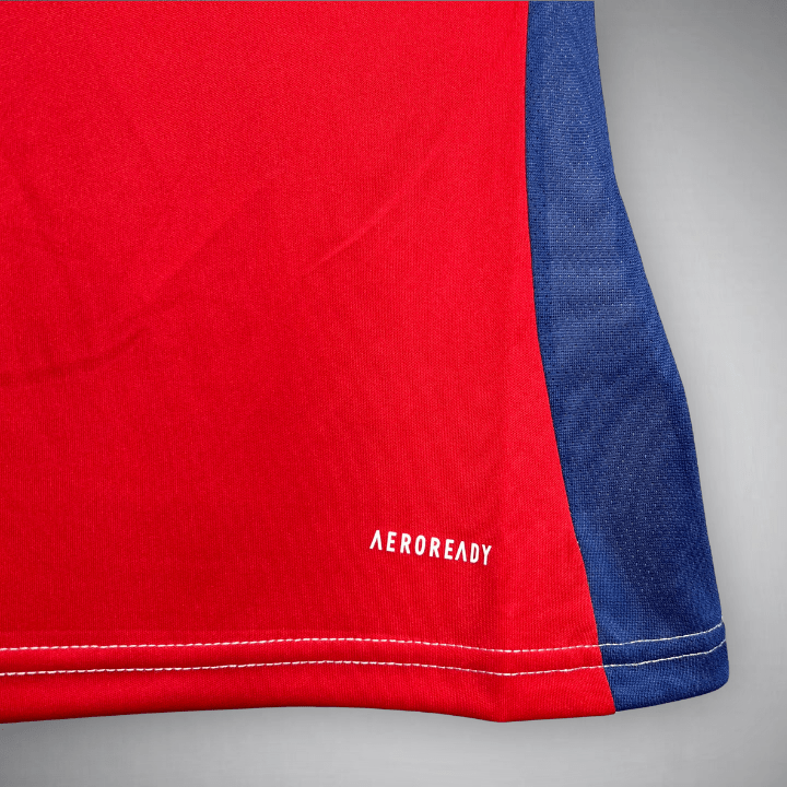 Image of Arsenal 2024/25 Home Kit - Premium Quality Jersey at FootballPrestige.com