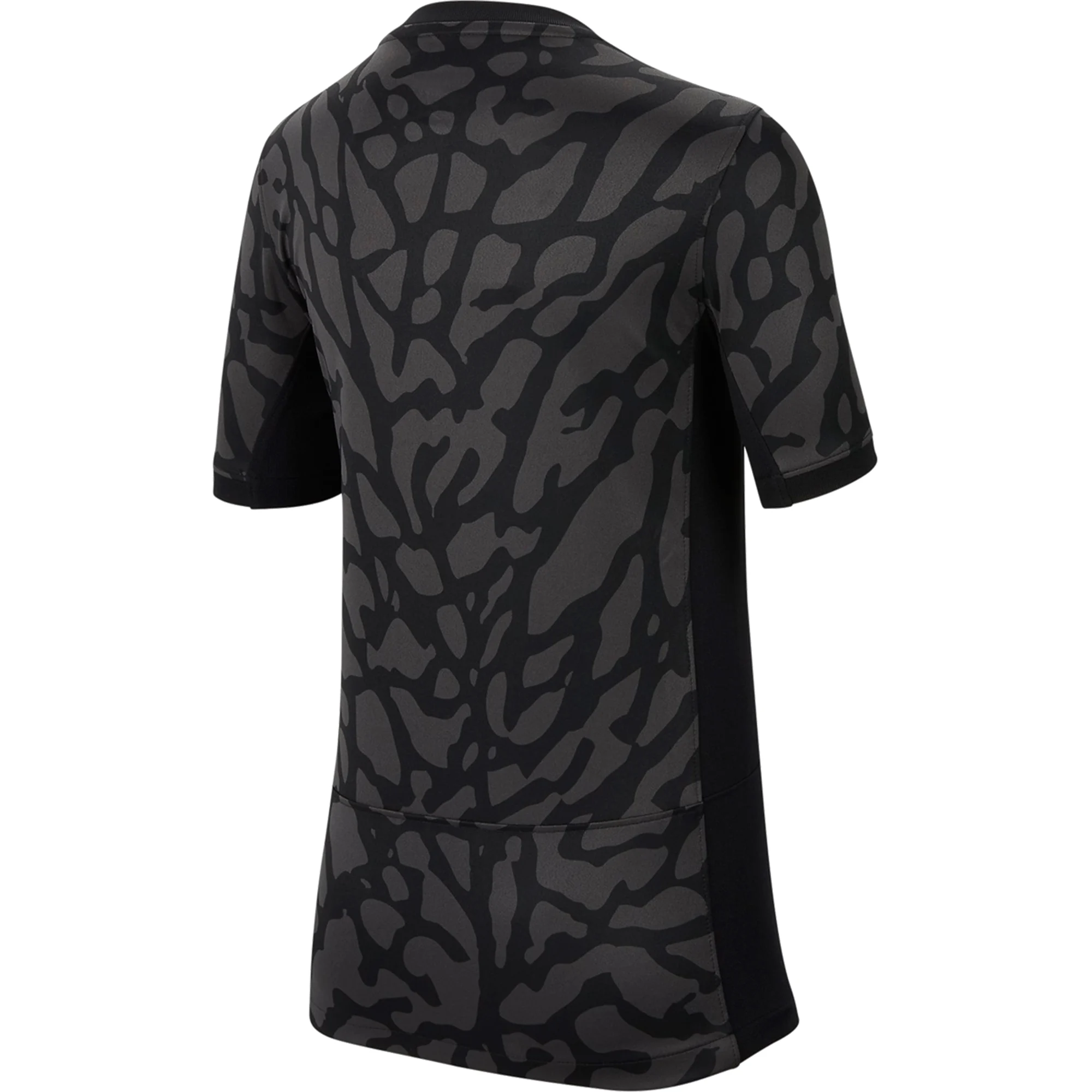 Image of Nike Youth Paris Saint-Germain Drittes Trikot 23/24 (Anthrazit/Schwarz/Stein)