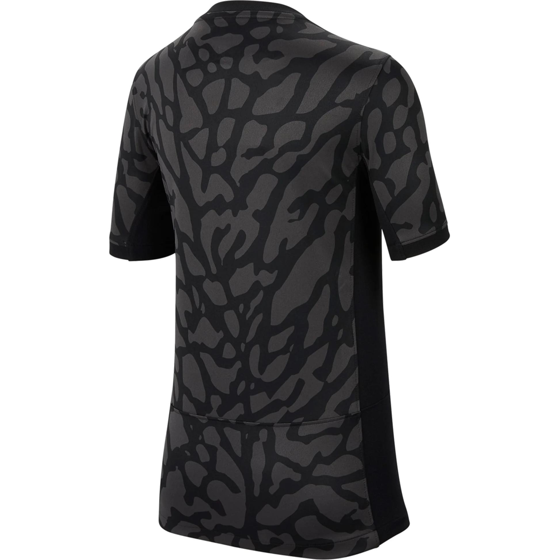 Nike Youth Paris Saint-Germain Drittes Trikot 23/24 (Anthrazit/Schwarz/Stein)