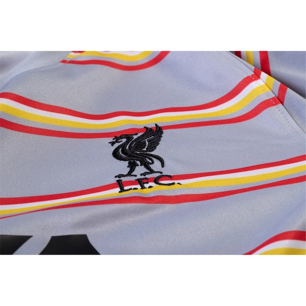 Image of Nike Liverpool Training Jersey 21/22 (Wolf Grey)