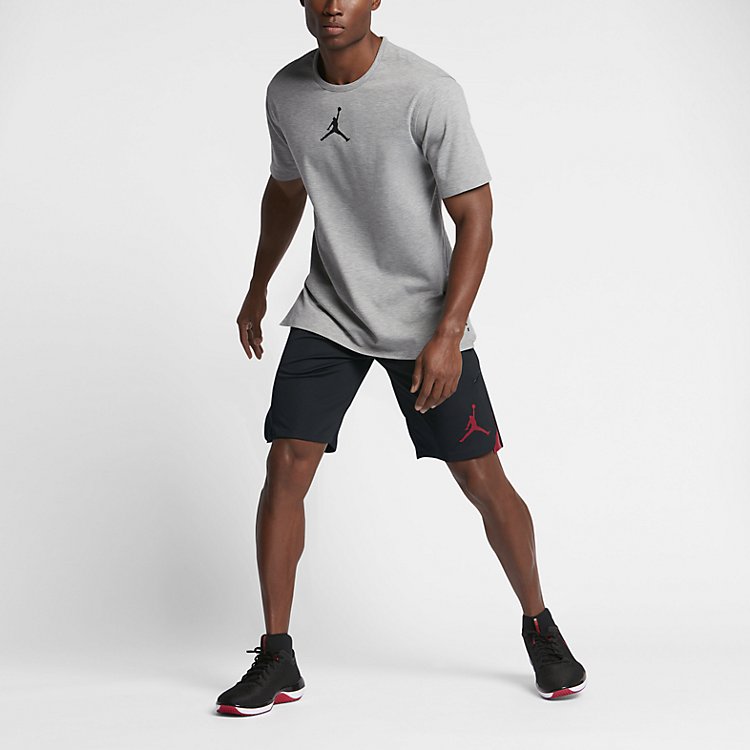 Image of Bekleidung Shorts Herren Air Jordan 23 Alpha Dry Knit S 849143-010