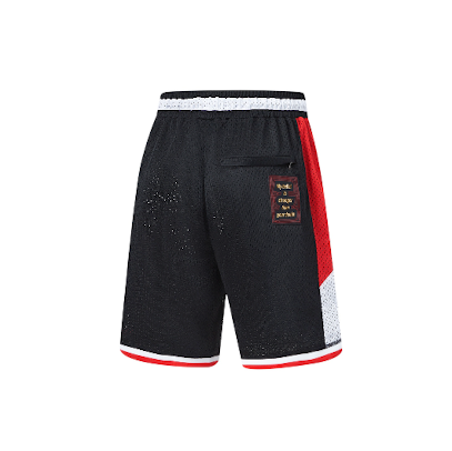 Image of Li-Ning Way of Wade Hall of Fame 2023 Basketball Shorts 'Black' AAPT733-1