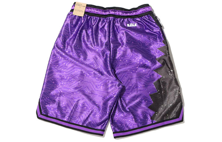 Nike x Space Jam:A New Legacy LeBron Basketball Shorts 'Purple' DJ3875-560