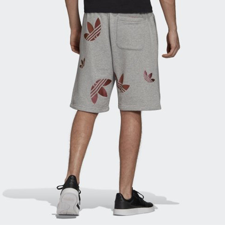 adidas originals Zeno Big Trefoil Logo Lacing Sports Shorts Gray GD0983