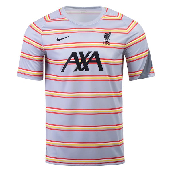Nike Liverpool Training Jersey 21/22 (Wolf Grey)