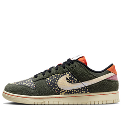 Image of Nike Dunk Low 'Rainbow Trout' FN7523-300