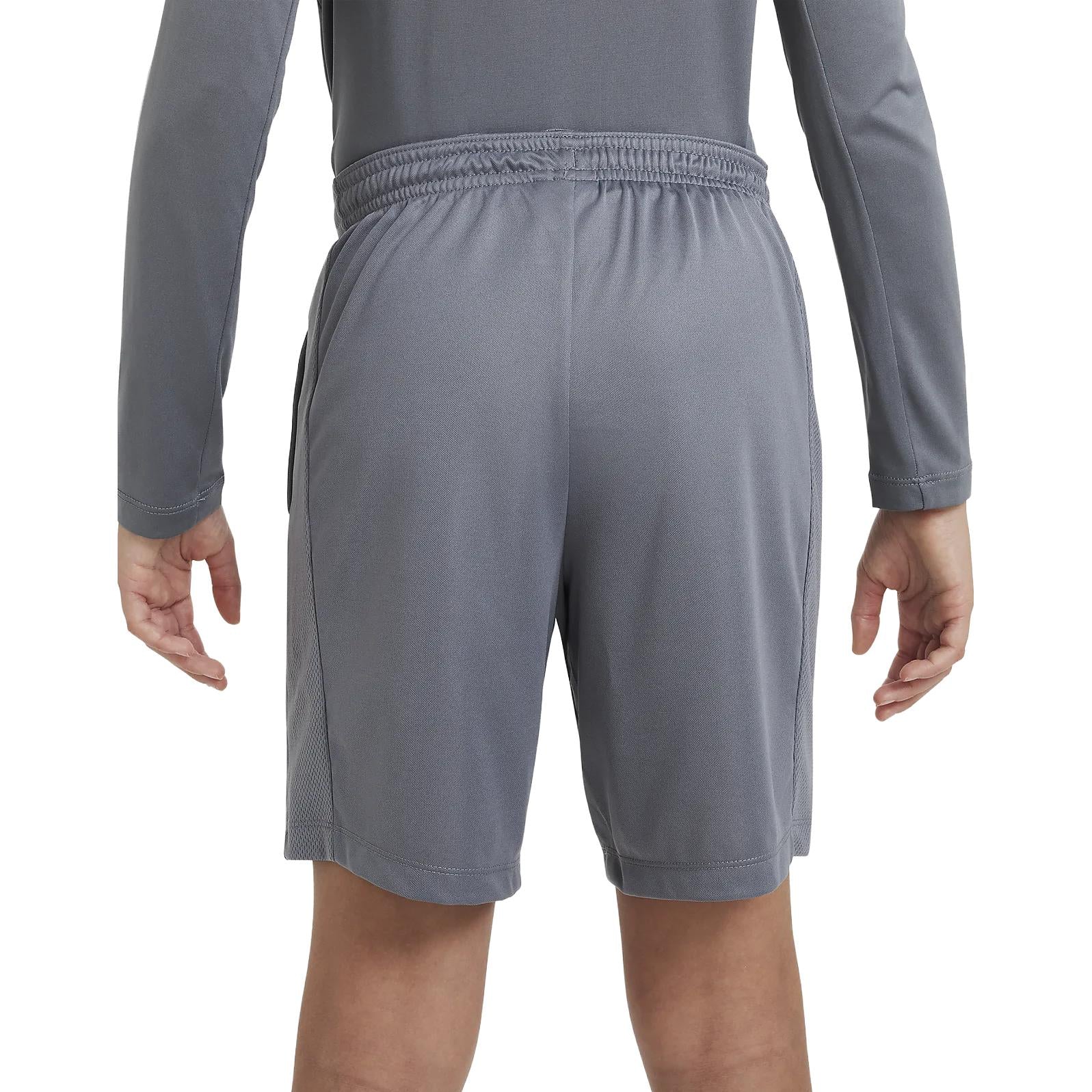 Image of Nike Dri-FIT Trophy Training Shorts 'Smoke Grey' DX5416-084