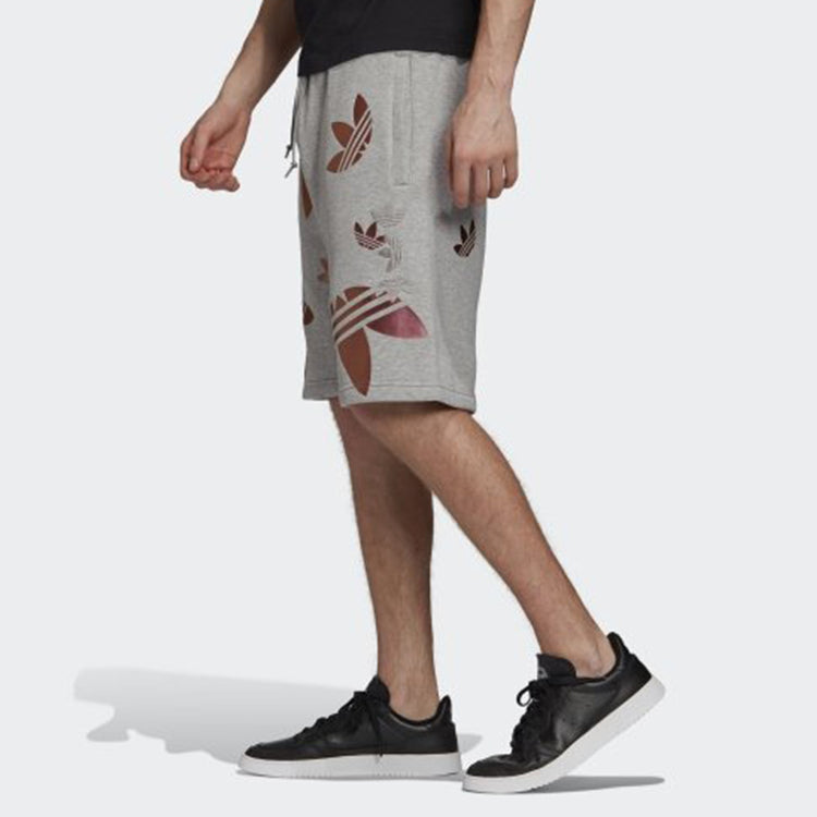 Image of adidas originals Zeno Big Trefoil Logo Lacing Sports Shorts Gray GD0983