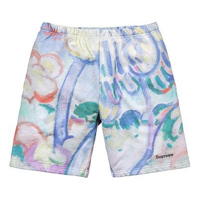 Image of Supreme SS18 Landscape Sweatshort Multicolor SUP-SS18-773