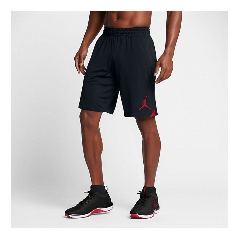 Image of Bekleidung Shorts Herren Air Jordan 23 Alpha Dry Knit S 849143-010