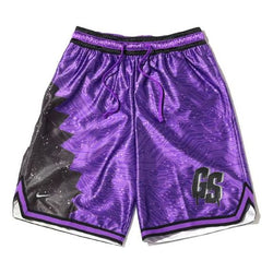 Image of Nike x Space Jam:A New Legacy LeBron Basketball Shorts 'Purple' DJ3875-560