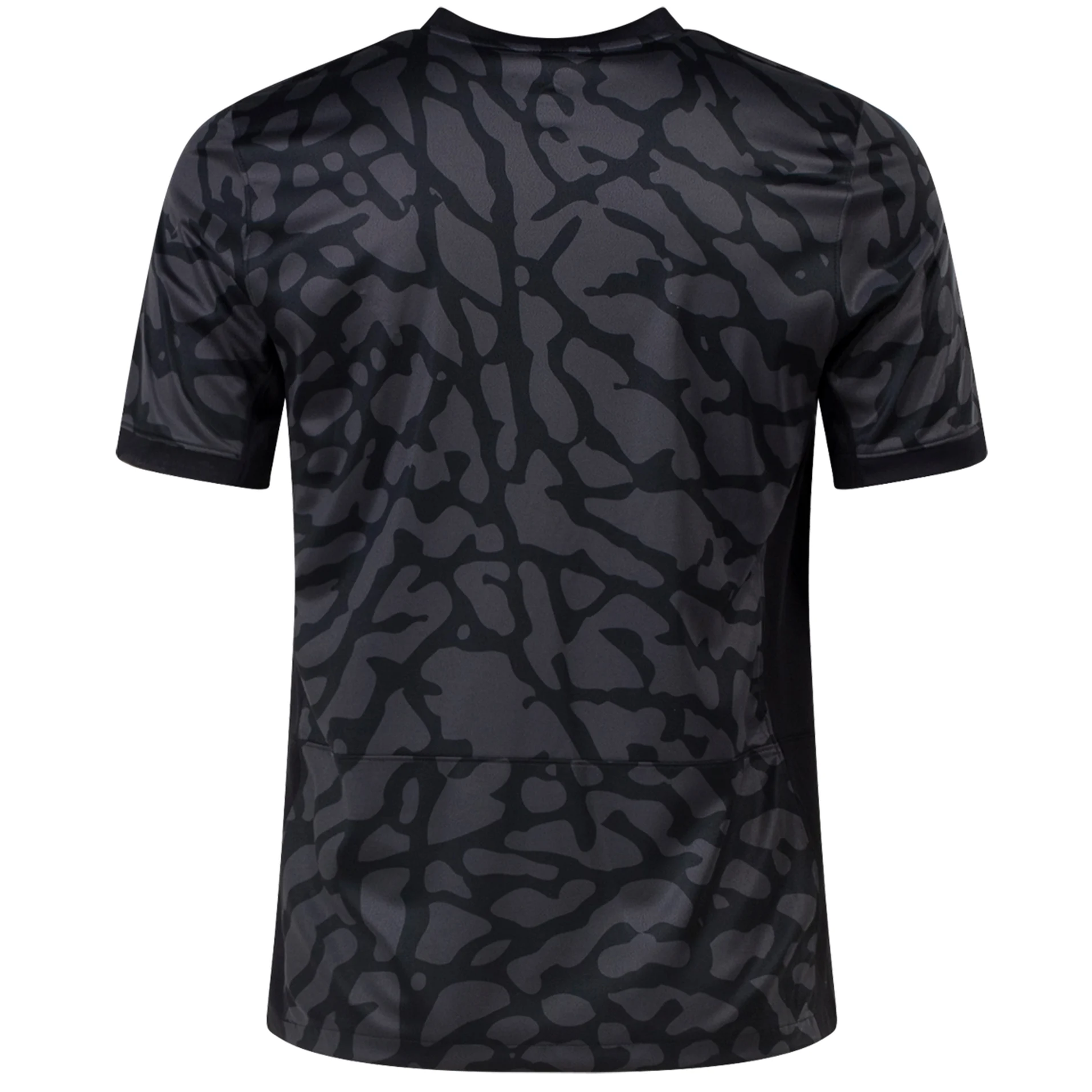Nike Paris Saint-Germain Third Jersey 23/24 (Anthracite/Black/Stone)