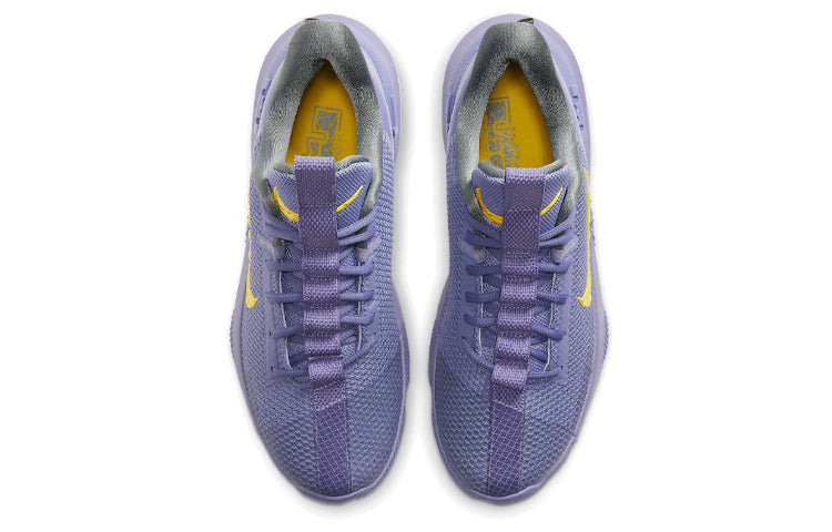 Image of Nike LeBron Ambassador 13 'Lakers' CQ9329-500