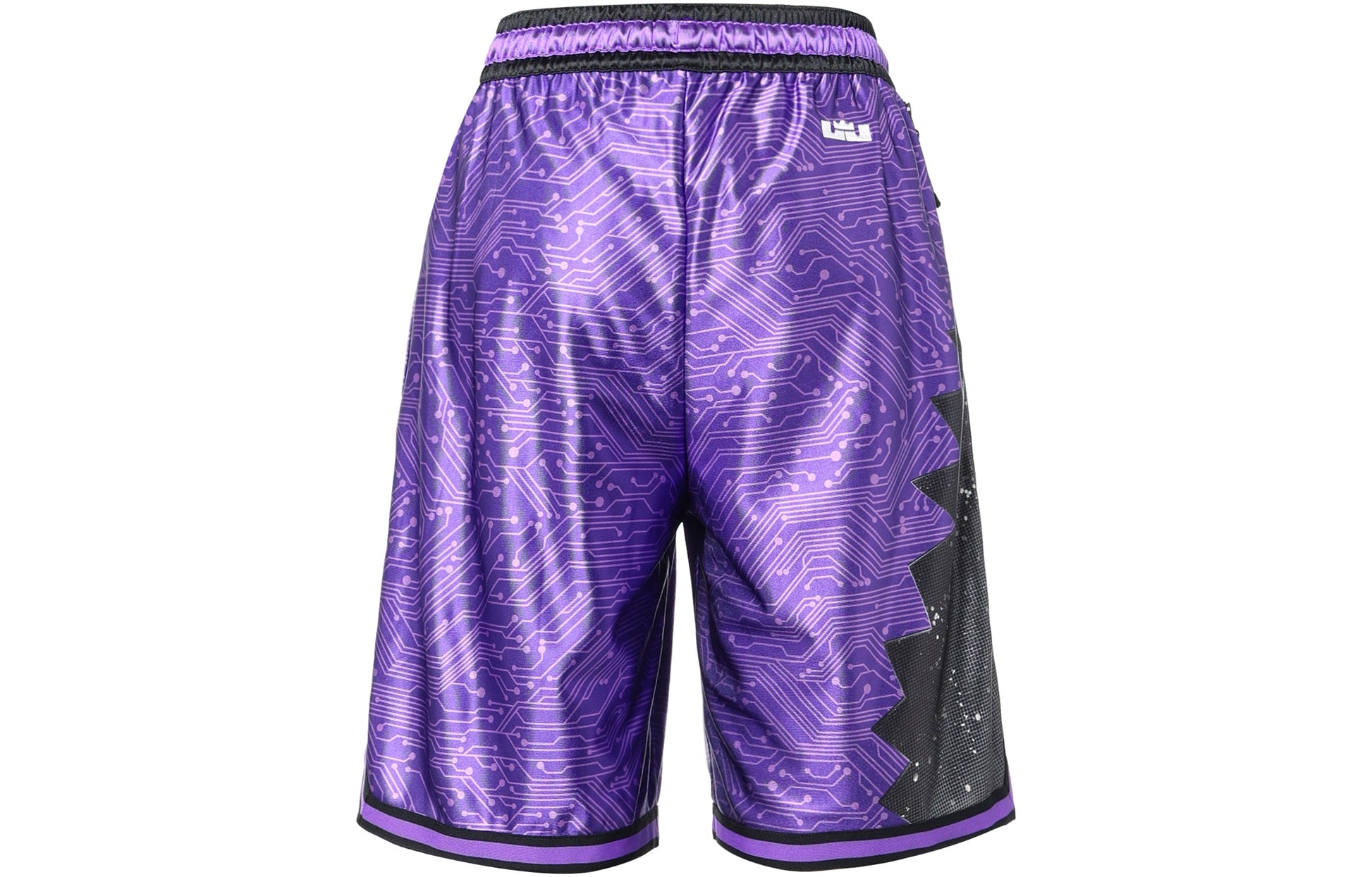 Nike x Space Jam:A New Legacy LeBron Basketball Shorts 'Purple' DJ3876-560