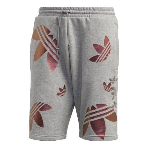 Image of adidas originals Zeno Big Trefoil Logo Lacing Sports Shorts Gray GD0983