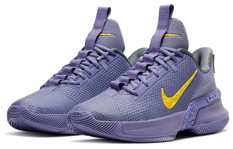 Image of Nike LeBron Ambassador 13 'Lakers' CQ9329-500