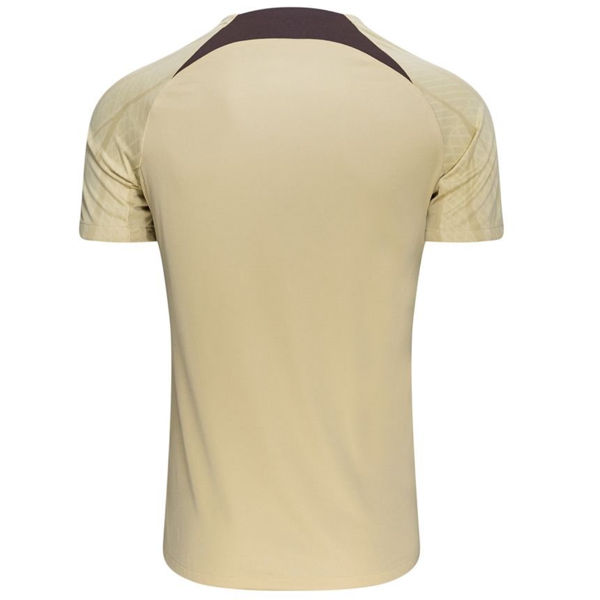 Image of Nike Tottenham Third Strike Training Top Jersey 23/24 (Team Gold/Ironstone)