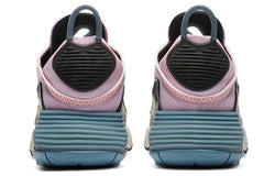 Image of (WMNS) Nike Air Max 2090 'Light Arctic Pink' CT1876-600