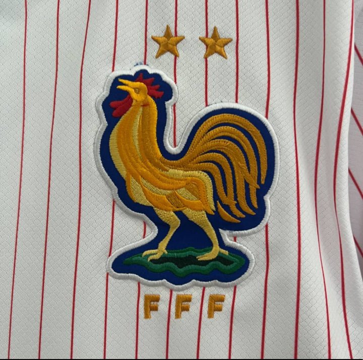 Image of France 2024 Away Kit - Premium Quality Jersey at FootballPrestige.com