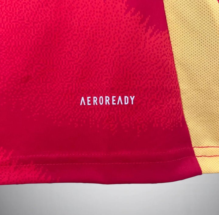 Image of Spain 2024 Home Kit - Premium Quality Jersey at FootballPrestige.com